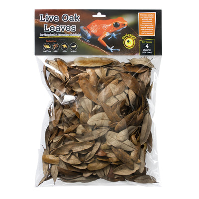 Galapagos Natural Live Oak Leaf Litter 4 qt 759834051541