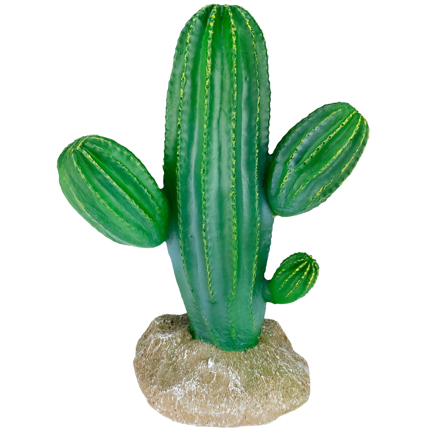 Komodo Cactus Plant Saguaro 9.5 in 784369933246