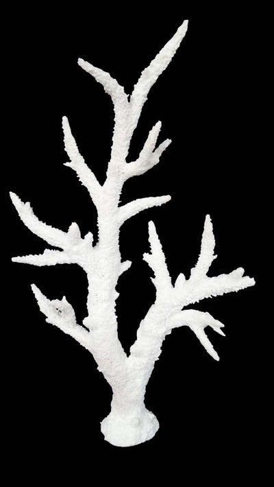 Weco South Pacific Coral Staghorn Tall Ornament White MD