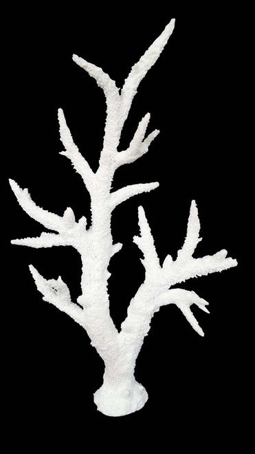 Weco South Pacific Coral Staghorn Tall Ornament White MD - Aquarium