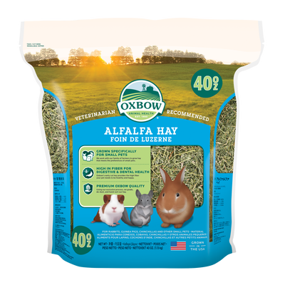 Oxbow Animal Health Alfalfa Hay Small Animal Treat 40 oz 744845967707