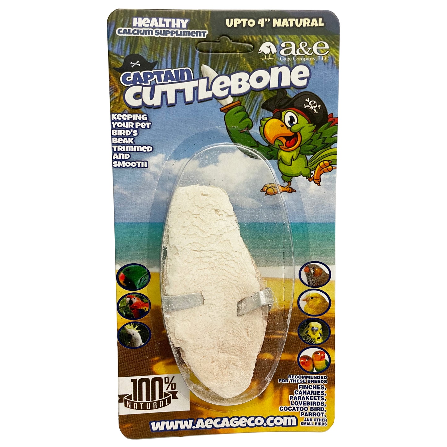 A & E Cages Natural Cuttlebone 4 in 644472014716