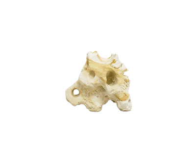 Hikari USA Resin Texas Holey Rock 5.7 In X 3.75 In X 4.50 in 042055963206