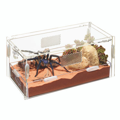 Zilla Micro Habitat Terrariums with Locking Latch Terrestrial, Small