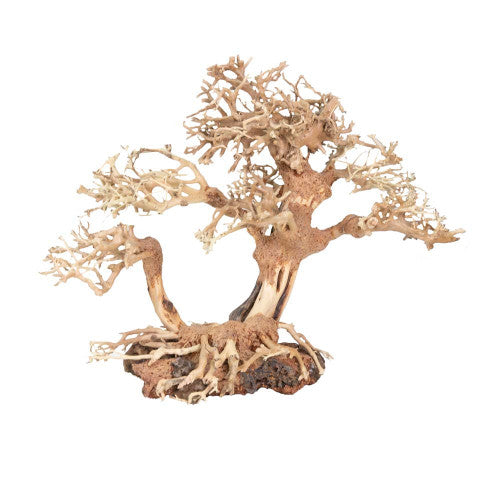 Zoo Med Dragon Bonsai Tree Aquatic Ornament MD - Aquarium