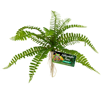 Zoo Med Naturalistic Flora Sword Fern Terrarium Plant Green, Tan