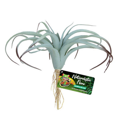 Zoo Med Naturalistic Flora Tillandsia Air Plant Terrarium Gray Tan - Reptile