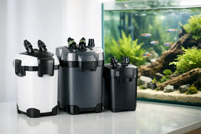 Canister Filter Comparison for Clearer Aquariums