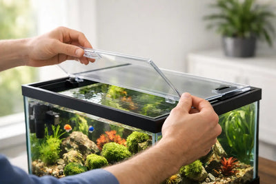Aquarium Lid Installation That Fits Right