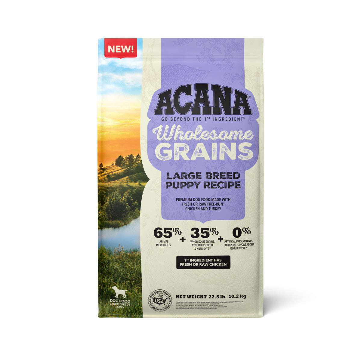 Acana Wholesome Grains Large Breed Dry Puppy Food Chicken & Turkey 22.5 lb 064992723354