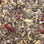 Higgins Supreme Parrot 40lb {L-1}466545