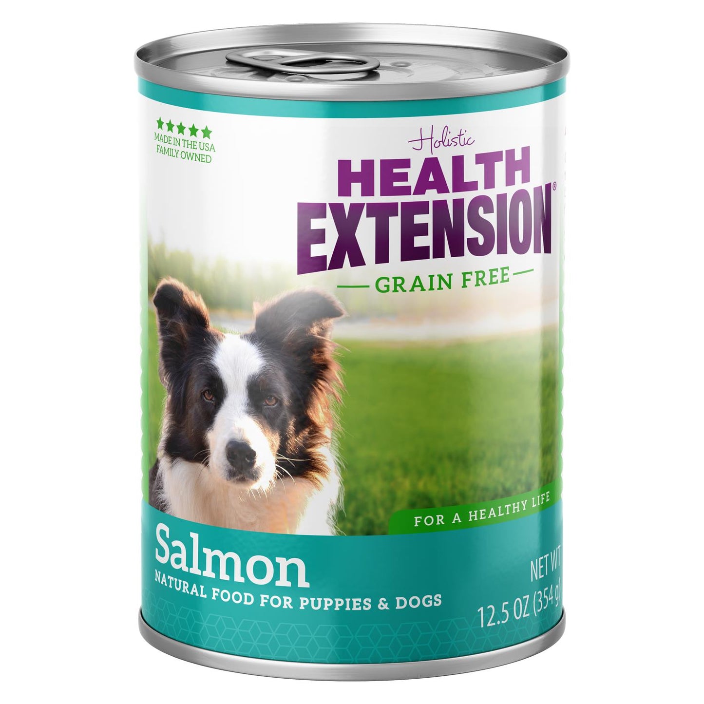 Health Extension Salmon Dog 12/13oz {L-1} 587153