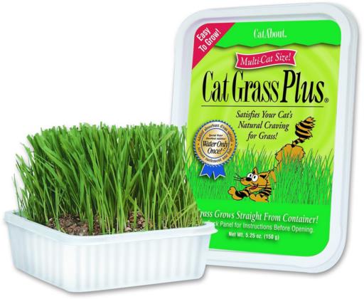 Miracle Care Gimpet Cat Grass 150g {L+1} 731073