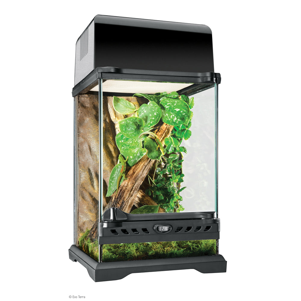 Exo Terra Nano Tall Terrarium - 8"x8"x12" - PT2601