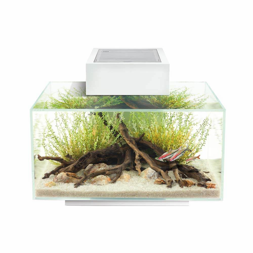 Fluval Edge 2.0 6 Gallon Aquarium White 15035 SD-3