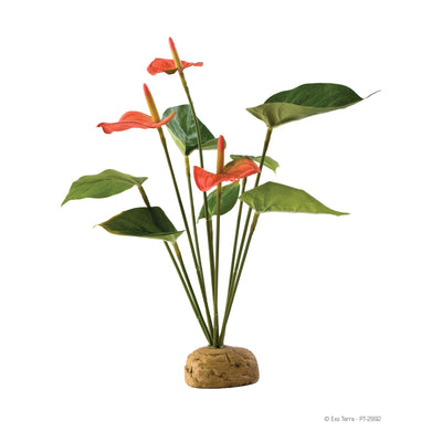 Exo Terra Plant, Anthurium Bush Pt2992{L+7}