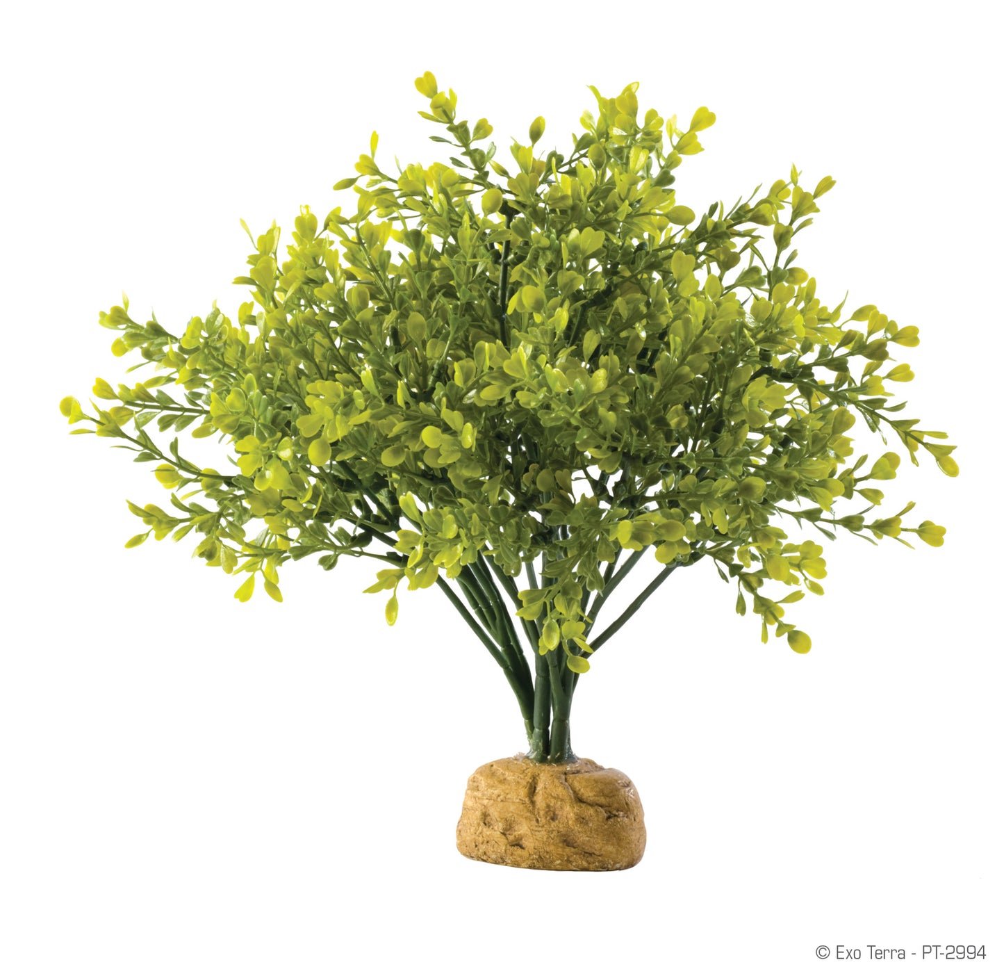 Exo Terra Rainforest Plant - Boxwood Bush - Pt2994 {L+7R}