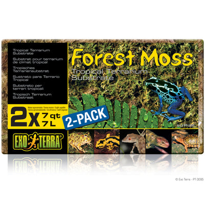 Exo Terra Forest Moss - Pt3095