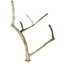 A & E Cages Java Wood Multi Branch Bird Perch MD