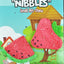 A & E Cages Nibbles Small Animal Loofah Chew Toy Strawberry Watermelon Slice - Small - Pet