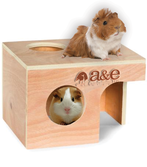 A & E Cages Small Animal Hut Guinea Pig Wood 10 inches X 8 3/8 7 - Small - Pet