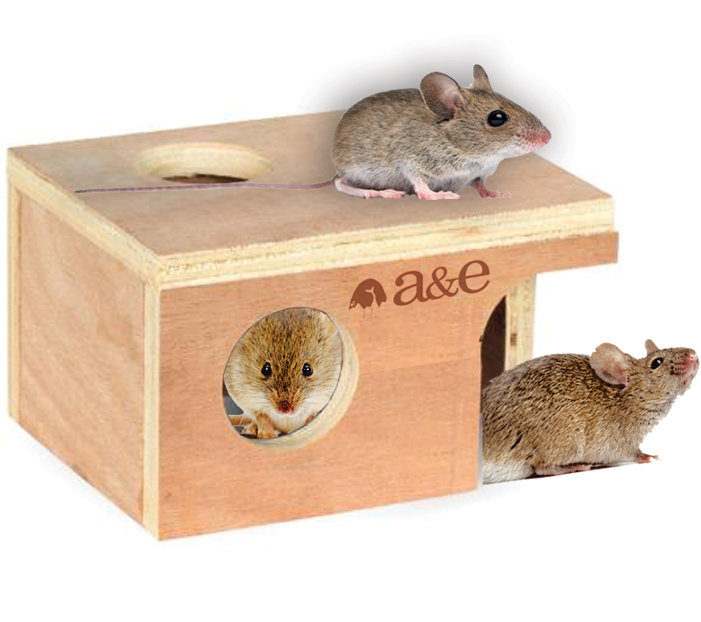 A & E Cages Small Animal Hut Mouse Wood 5 1/4 inches X 3 7/8 inches X 3 inches