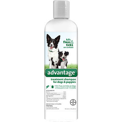 Advantage Dog Shampoo 12oz 724089792655