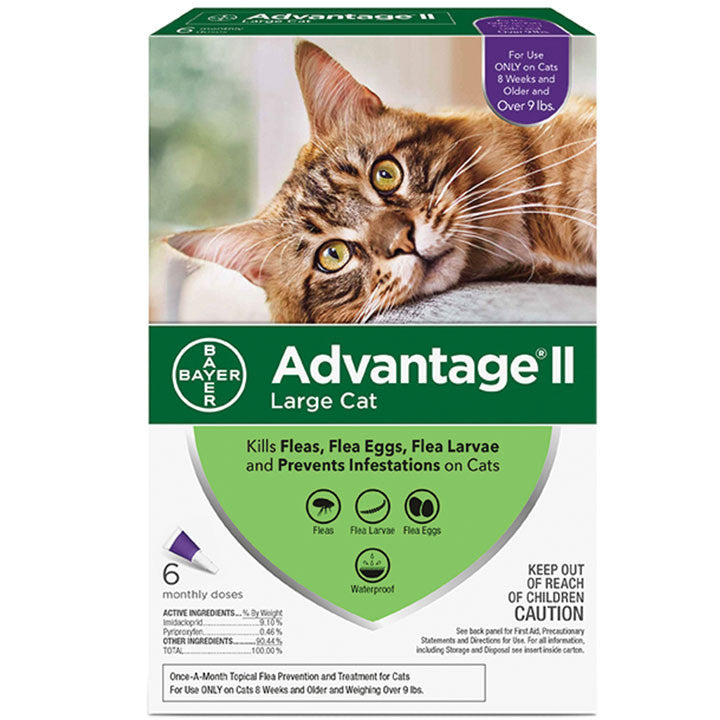 Advantage Ii Cat Large Cat 9+lb Purple 6 Pack 724089202321