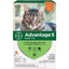 Advantage Ii Cat Small 5 - 9lb Orange 6 Pack