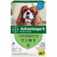 Advantage Ii Dog Medium 11 - 20lb Teal 6 Pack