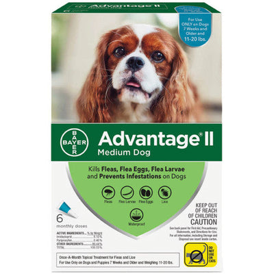 Advantage Ii Dog Medium 11 - 20lb Teal 6 Pack