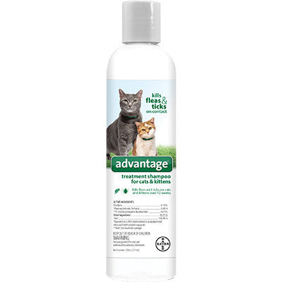 Advantage Kitten Shampoo 8oz 724089792730