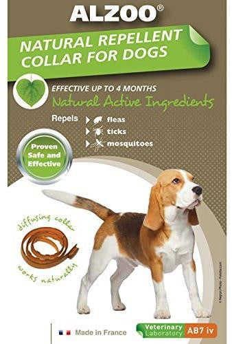 Alzoo Dog Collar Medium {L - 1}420018