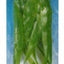 Aquascaper Amazon Sword Plant Extra Large 15in Pp1501{L+7} 080605115019