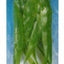 Aquascaper Amazon Sword Plant Extra Large 15in Pp1501{L + 7} - Aquarium