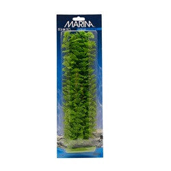 Aquascaper Ambulia Extra Large 15in Pp1502{L + 7} [RR} - Aquarium