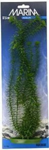 Aquascaper Anacharis Extra Large 15in Pp1503{L + 7} - Aquarium