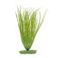 Aquascaper Hairgrass Medium 8in Pp811{L + 7} - Aquarium