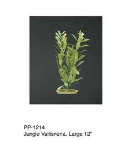 Aquascaper Jungle Vallisneria 12in Pp1214{L+7} 080605112148