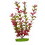 Aquascaper Red Ludwigia Extra Large 15in Pp1519{L+7} 080605115194