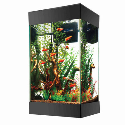 Aqueon Aquarium Starter Kit with LED Lighting 15 Column