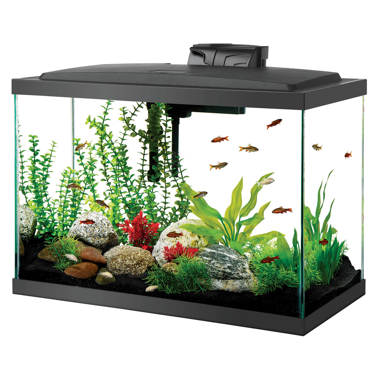 Aqueon Aquarium Starter Kit with LED Lighting 20 High