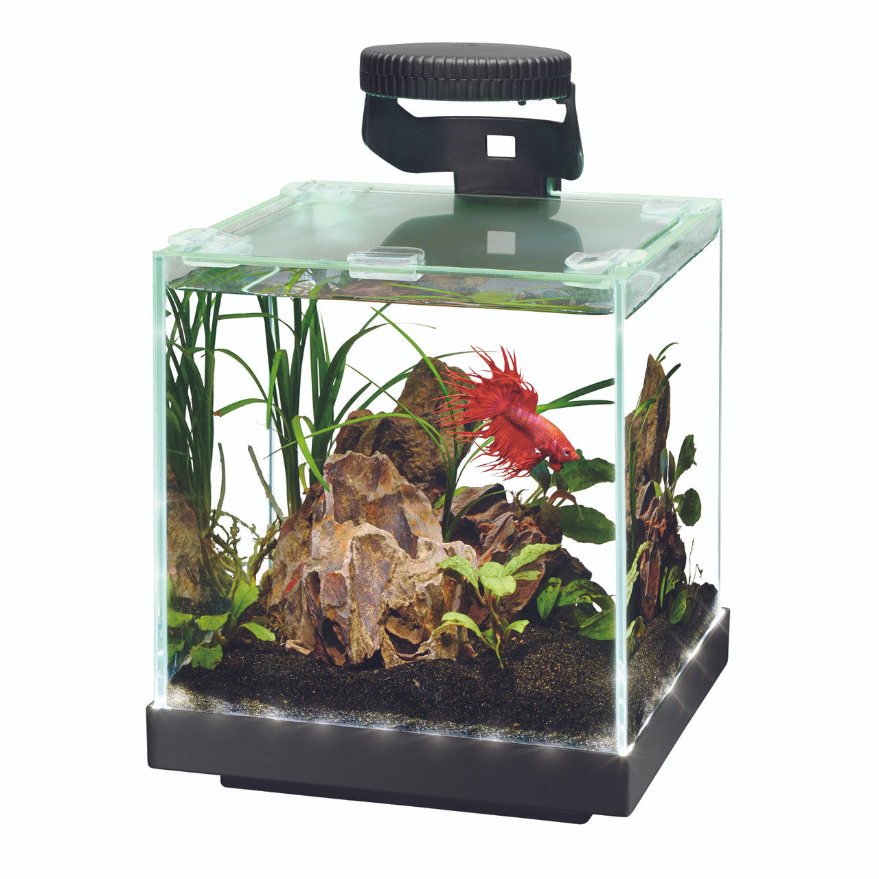 Aqueon Edgelit Rimless Cube Glass Aquariums Size 1