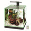 Aqueon Edgelit Rimless Cube Glass Aquariums Size 6
