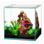 Aqueon Frameless Cube Aquarium 1