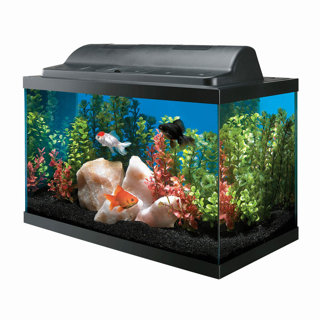 Aqueon Incandescent Aquarium Kit 10