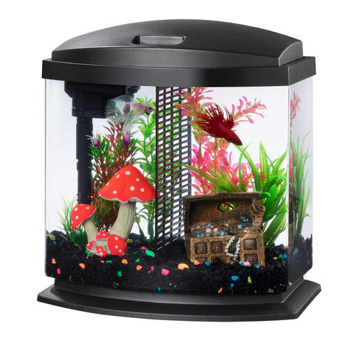 Aqueon LED BettaBow Kit SmartClean Black 2.5 Gallon - Aquarium