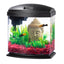 Aqueon LED MiniBow? Kit with SmartClean? Technology Black 1 Gallon - Aquarium