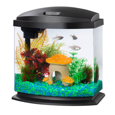 Aqueon LED MiniBow? Kit with SmartClean? Technology Black 2.5 Gallon - Aquarium