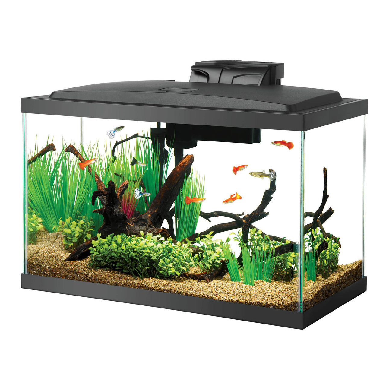 Aqueon Pre-Priced LED Aquarium Kit 10